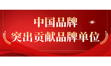 6686手机端入口获评“突出贡献品牌单位”，树立中国品牌标杆力量