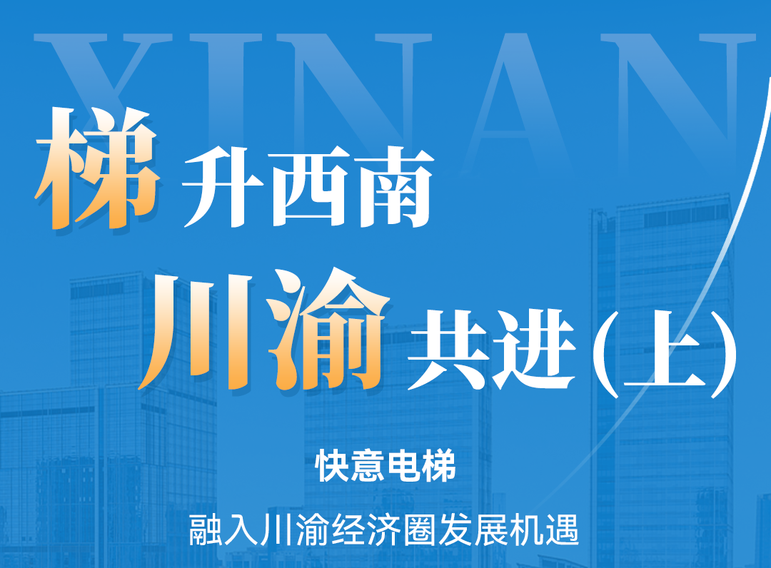 梯升西南，6686手机端入口同行！定制方案赋能川渝经济圈（上）